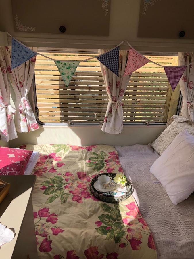 Down The Garden Path Vintage Caravan B&B , Dartmoor Newton Abbot Εξωτερικό φωτογραφία