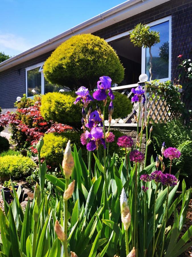 Down The Garden Path Vintage Caravan B&B , Dartmoor Newton Abbot Εξωτερικό φωτογραφία