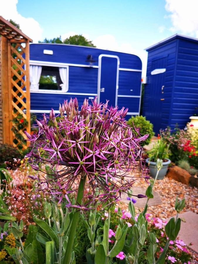 Down The Garden Path Vintage Caravan B&B , Dartmoor Newton Abbot Εξωτερικό φωτογραφία