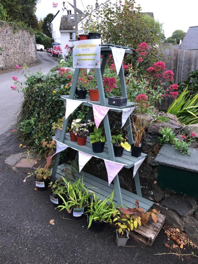 Down The Garden Path Vintage Caravan B&B , Dartmoor Newton Abbot Εξωτερικό φωτογραφία
