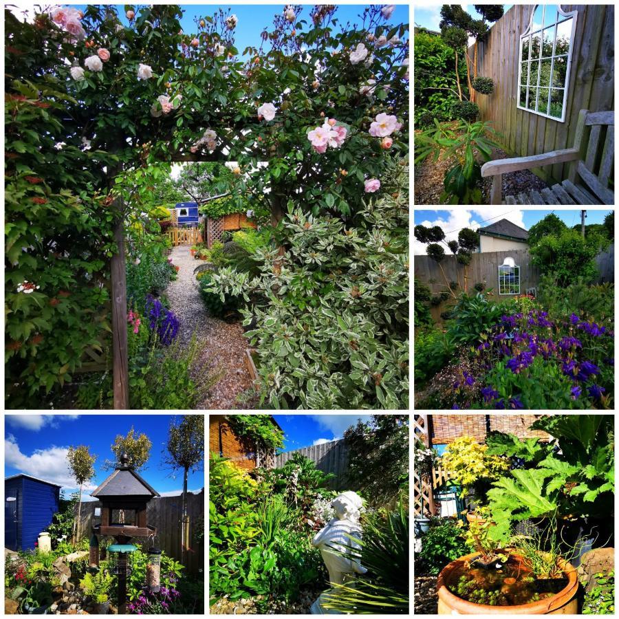 Down The Garden Path Vintage Caravan B&B , Dartmoor Newton Abbot Εξωτερικό φωτογραφία